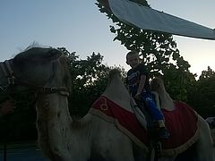 Nyaralás Kicsivel, Picivel és még Kisebbel